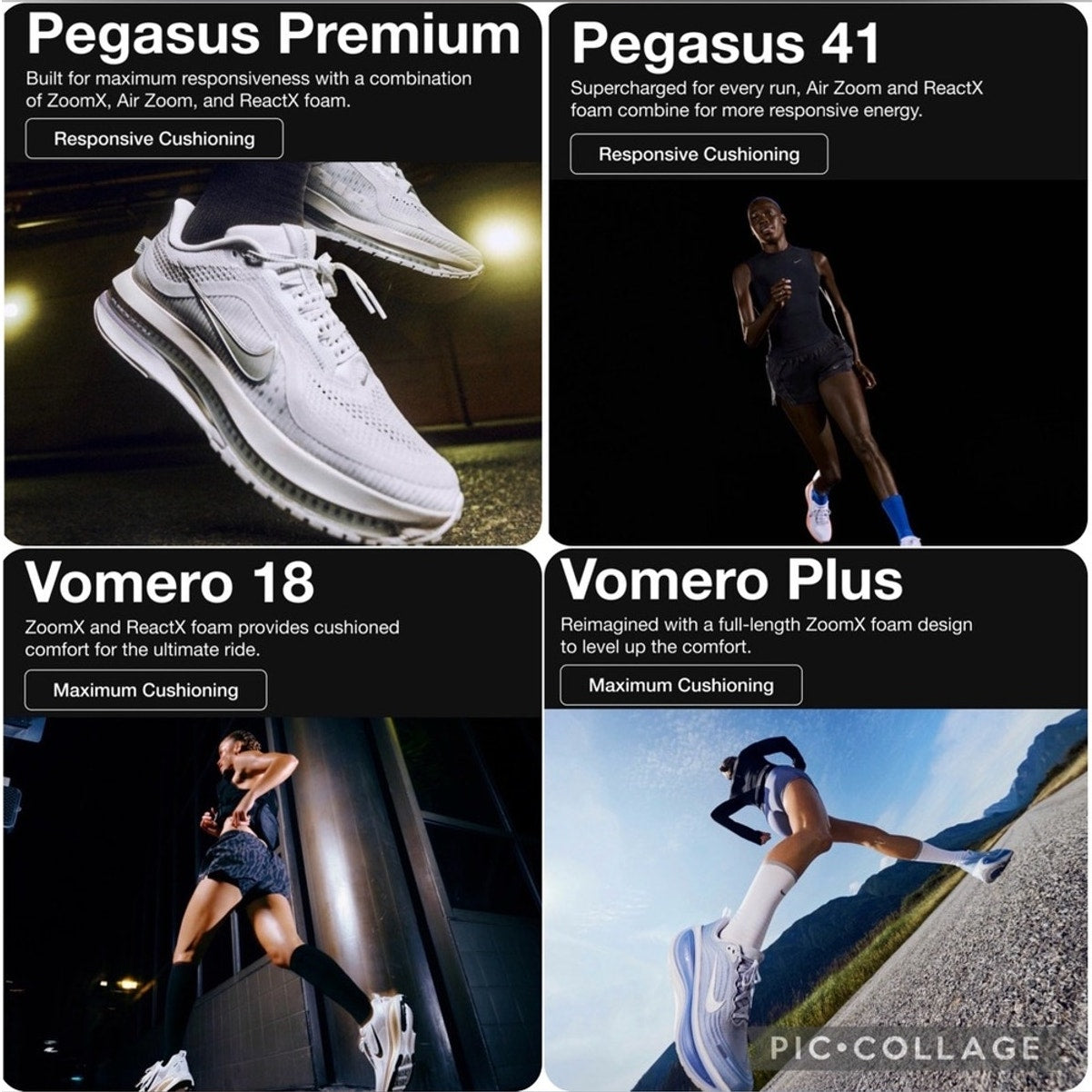 Nike Pegasus Premium (Sail Off Noir) Women's Road Running Shoes HQ2593-106